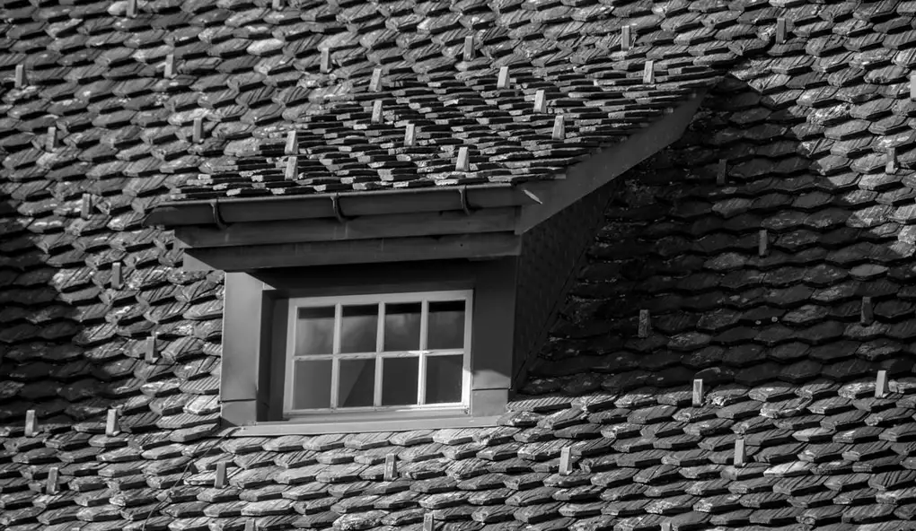 Black and white photo of a tiled roof featuring a dormer window
